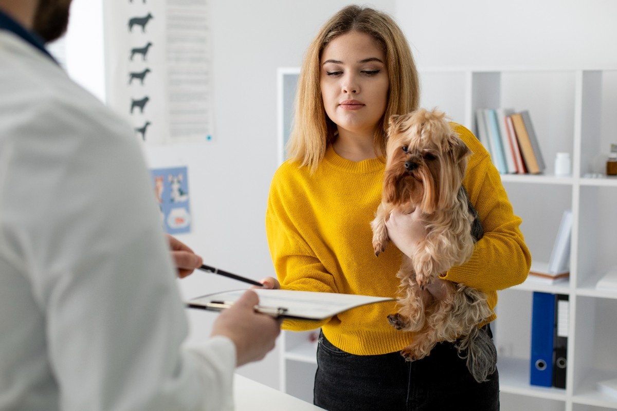 cute-dog-consultation-1