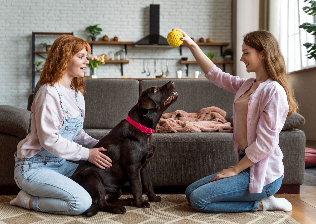 full-shot-women-dog-playing-with-toy-1