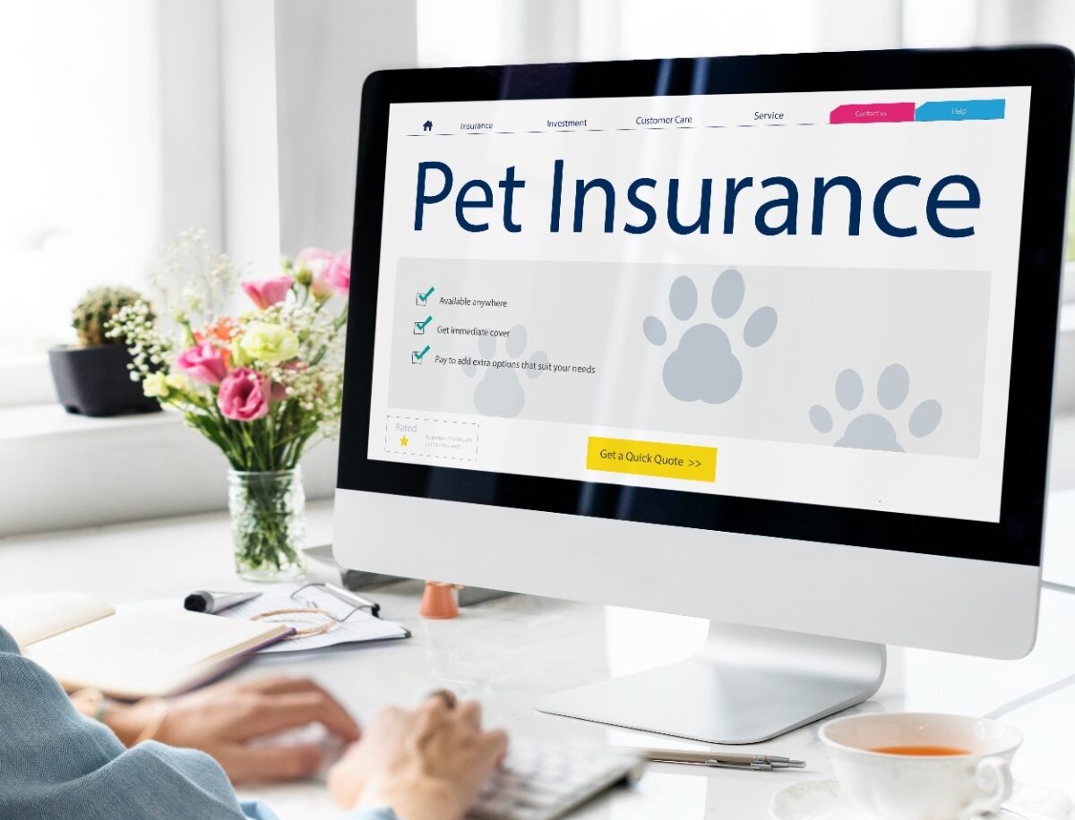 pet-insurance-care-guarantee-concept (2)